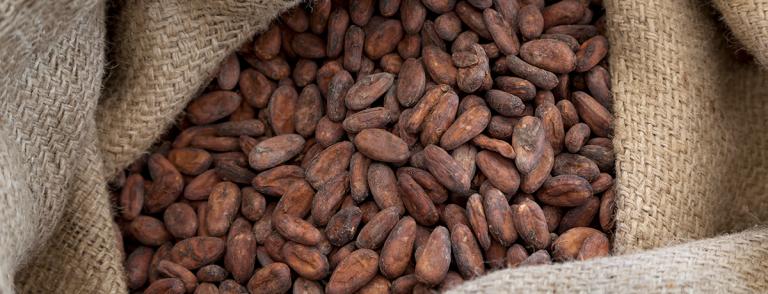 Ferrero continues to scale cocoa sustainability programme